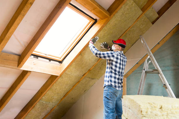 Best Attic Insulation Installation in Van Buren, MO