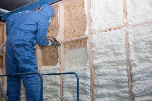 Best Insulation Air Sealing in Van Buren, MO